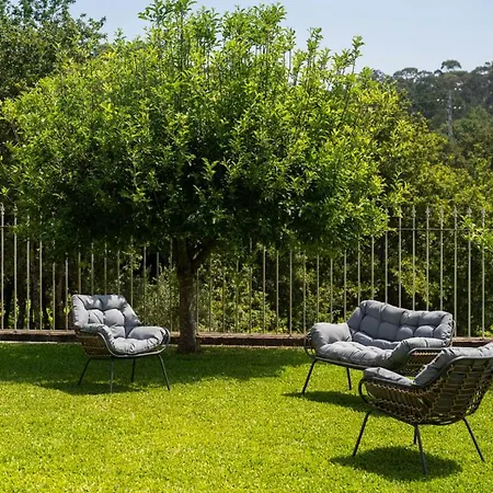 Calejo House - Pool & Sports & Grill Retreat Viana do Castelo
